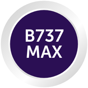 B737MAX